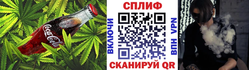mega онион  shop какой сайт  Canna-Cookies конопля  купить наркотики сайты  Сургут 