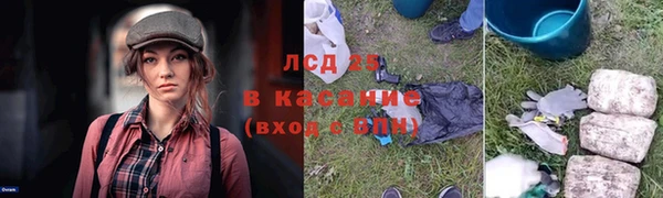 сатива Алексин