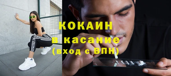 сатива Алексин