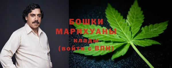 ешки Алзамай