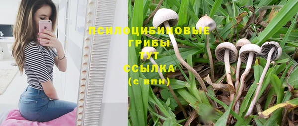 мескалин Алексеевка